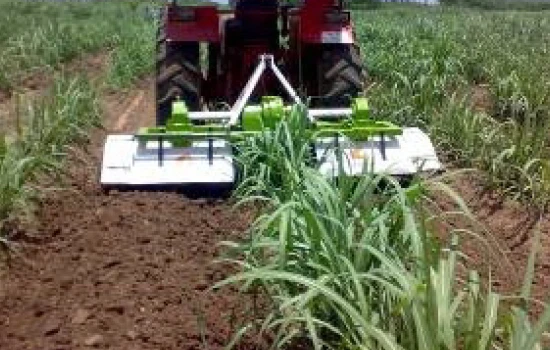 Multi Row Series Agriculture