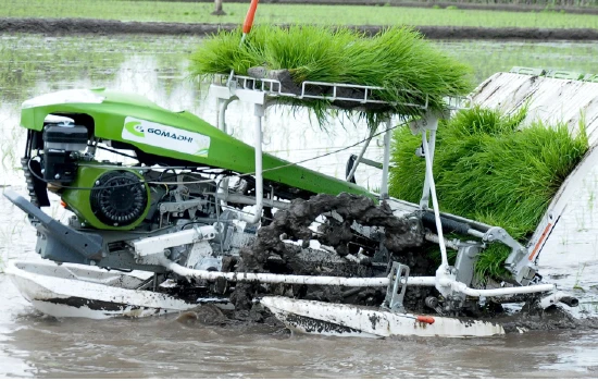 Rice Transplater WBT Series Agricultures